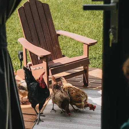 Σπίτι διακοπών Whispers Of The Willow 2 By Tiny Away Estramiac