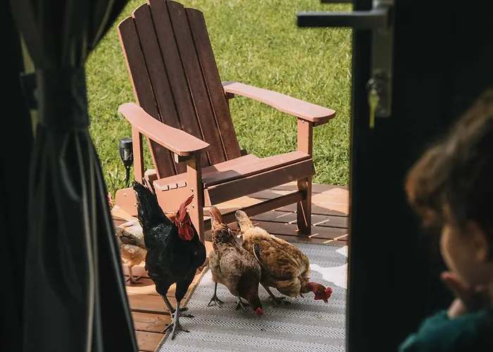 בית נופש Whispers Of The Willow 2 By Tiny Away Estramiac